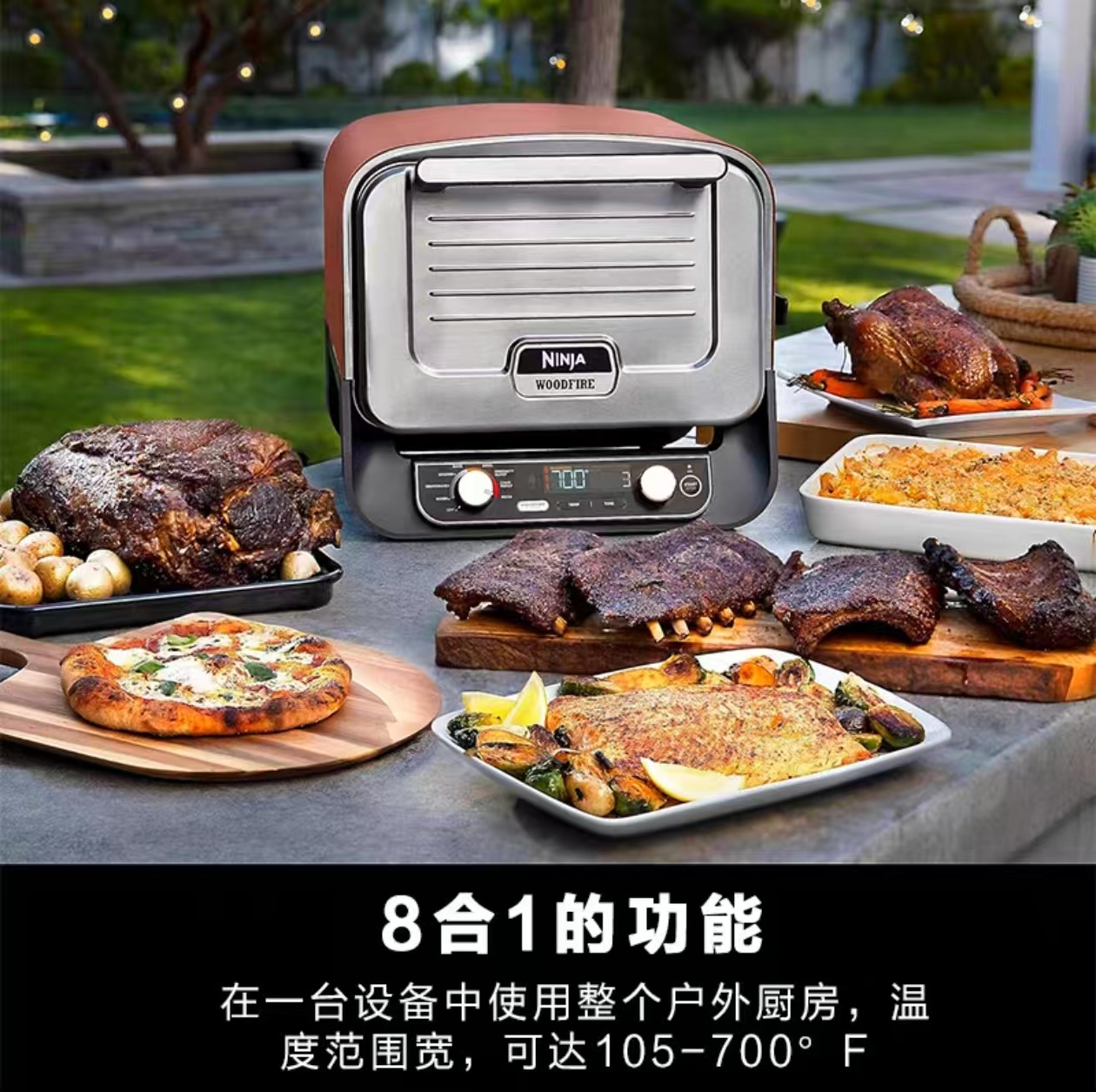 2026 Outdoor Pizza Oven for El - огляд і ціна Camping Cooking